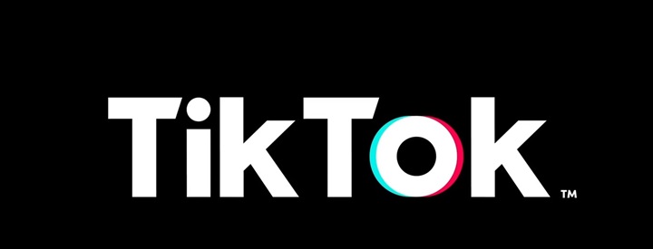 TikTok Logo
